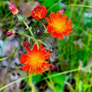 Meet your Posher, Angie